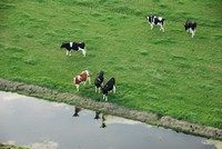 9 Oktober 2009
