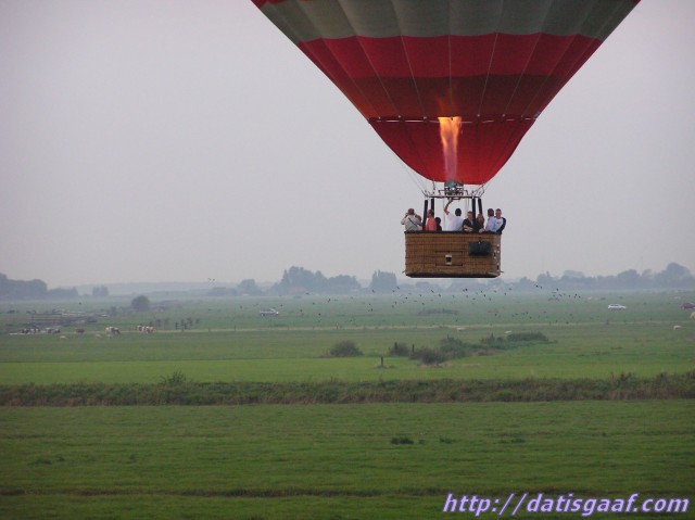 Copyright &copy DatisGaaf.com