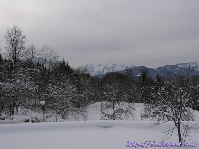 Copyright &copy DatisGaaf.com