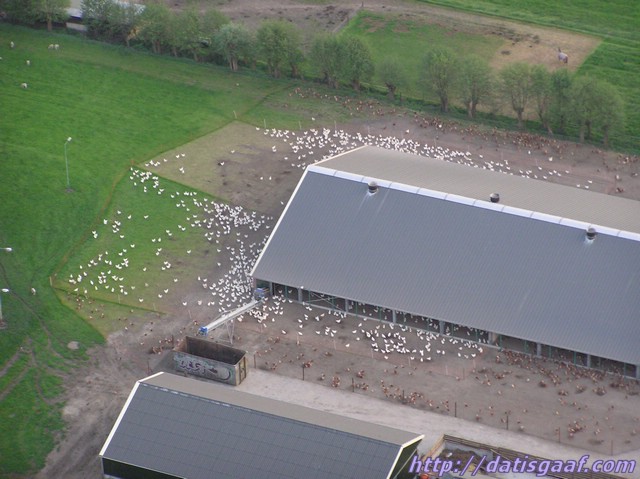 Copyright &copy DatisGaaf.com