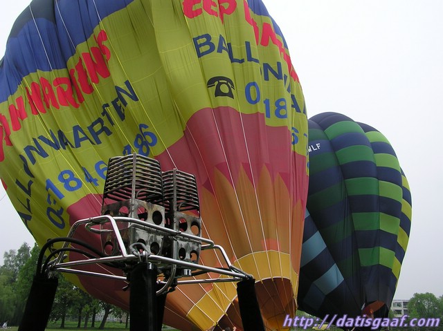 Copyright &copy DatisGaaf.com