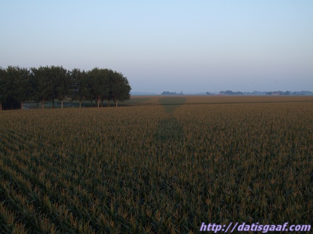 Copyright &copy DatisGaaf.com