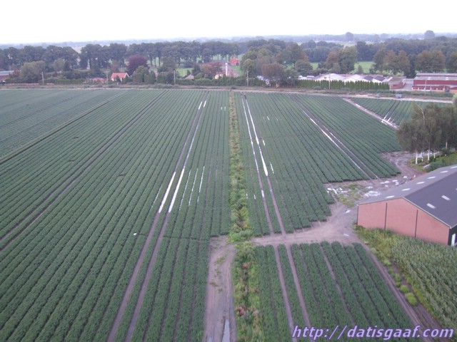 Copyright © DatisGaaf.com