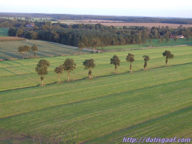 Copyright &copy DatisGaaf.com