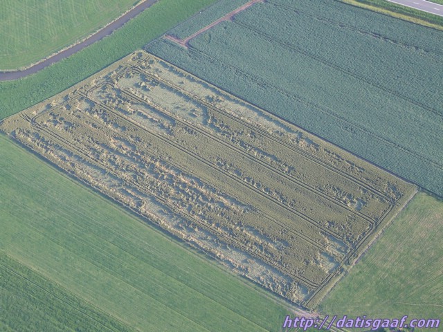 Copyright © DatisGaaf.com