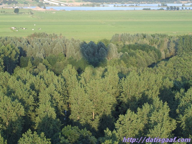 Copyright © DatisGaaf.com