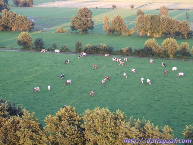 Copyright &copy DatisGaaf.com