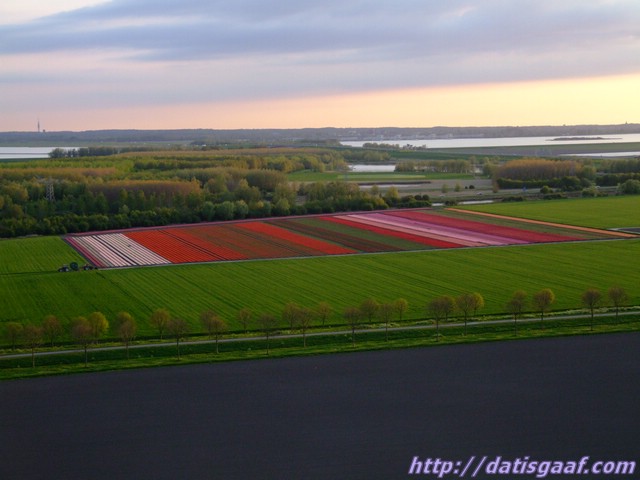 Copyright © DatisGaaf.com
