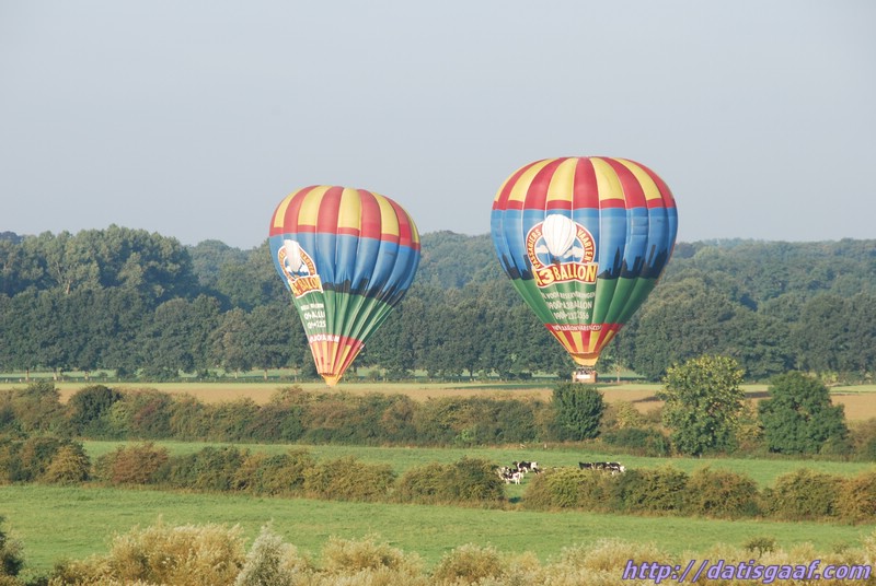 Copyright &copy DatisGaaf.com