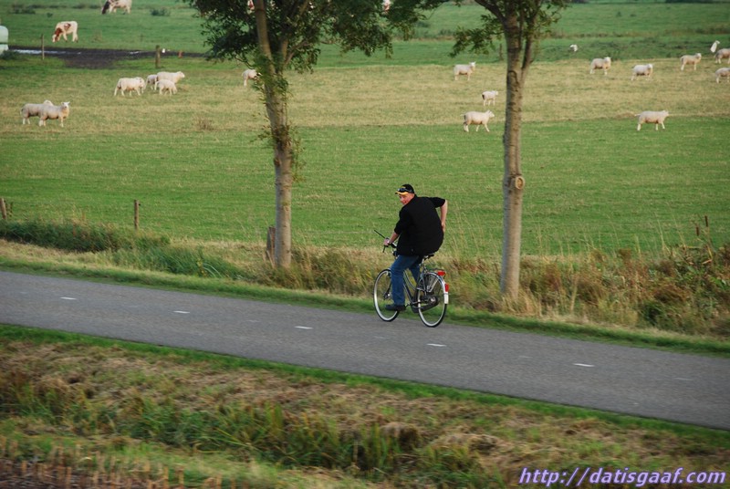 Copyright &copy DatisGaaf.com