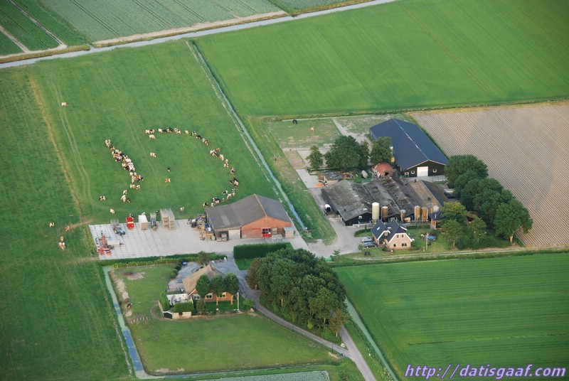 Copyright &copy DatisGaaf.com