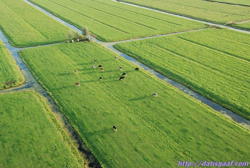 Copyright &copy DatisGaaf.com