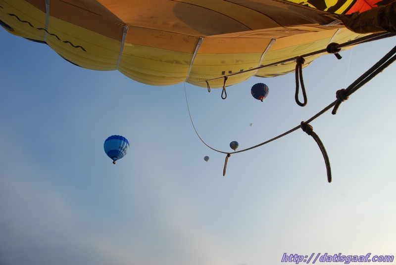 Copyright &copy DatisGaaf.com