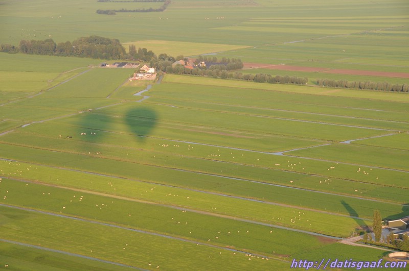 Copyright &copy DatisGaaf.com