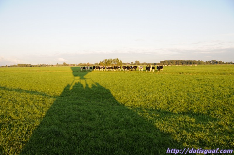 Copyright &copy DatisGaaf.com