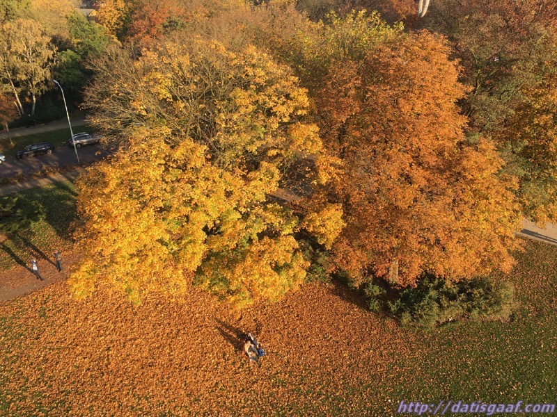 Copyright &copy DatisGaaf.com