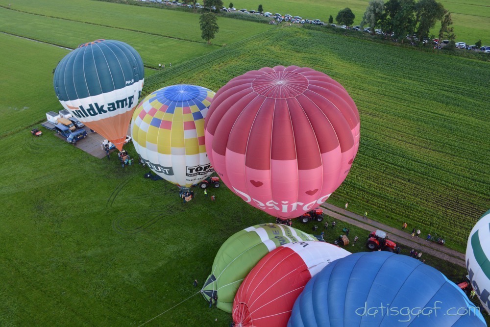 Copyright &copy DatisGaaf.com