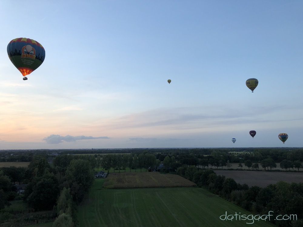 Copyright &copy DatisGaaf.com