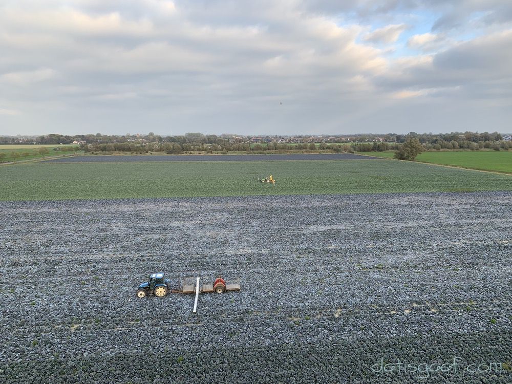 Copyright © DatisGaaf.com