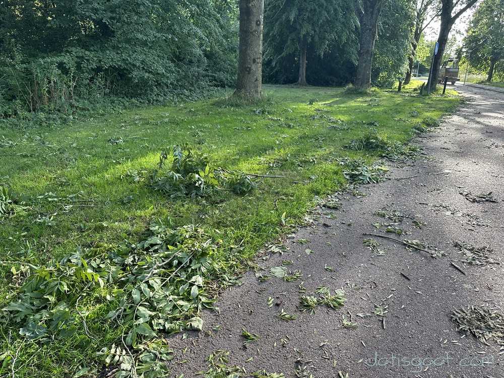 Copyright &copy DatisGaaf.com