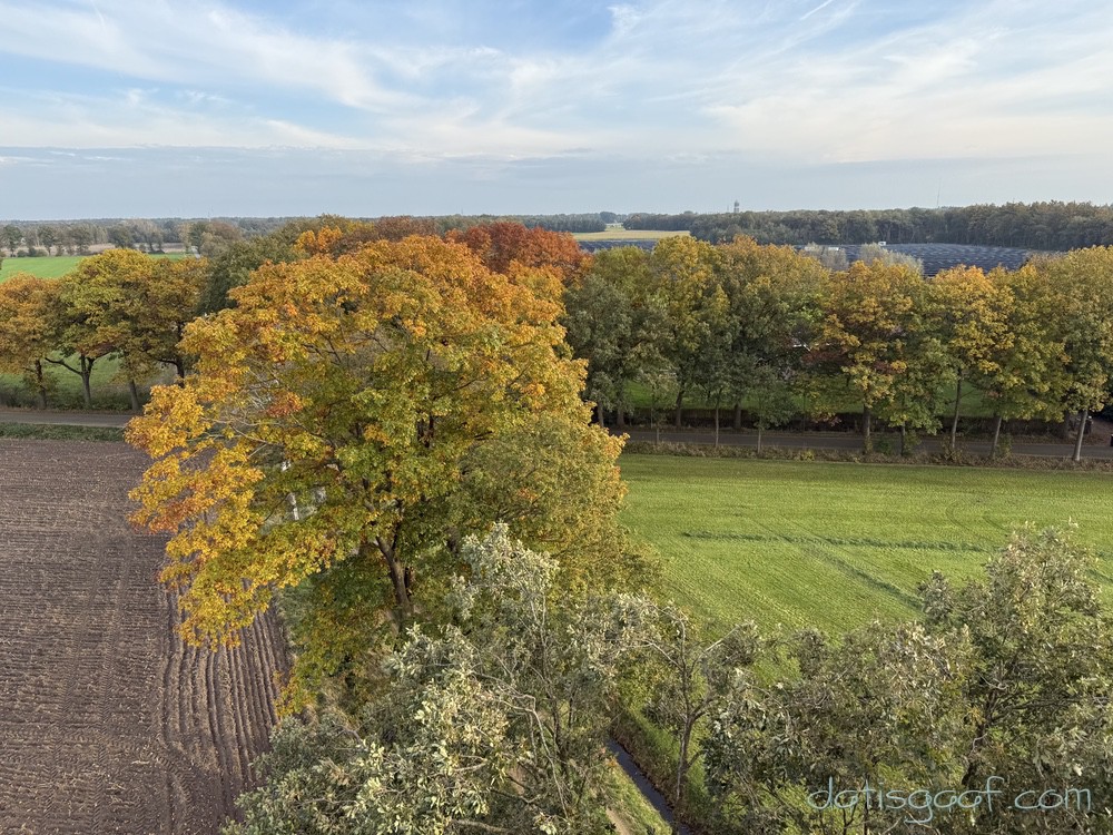 Copyright &copy DatisGaaf.com